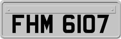 FHM6107
