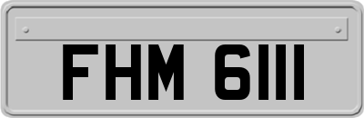 FHM6111