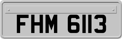 FHM6113