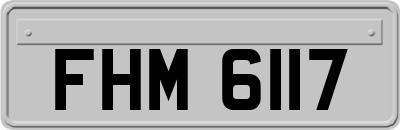FHM6117