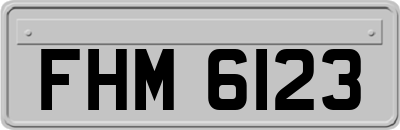 FHM6123