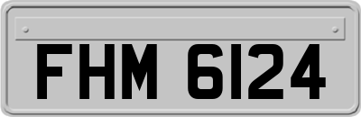 FHM6124