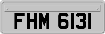 FHM6131