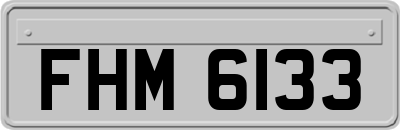 FHM6133