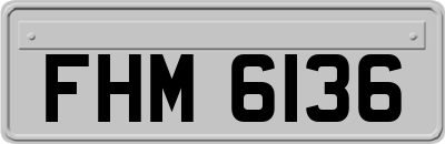 FHM6136