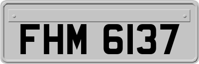 FHM6137