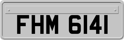 FHM6141