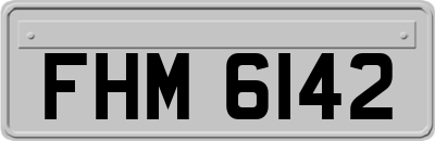 FHM6142