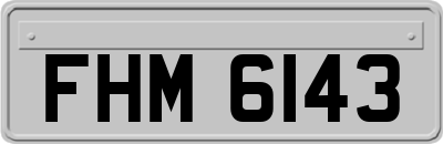 FHM6143