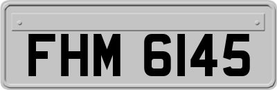 FHM6145