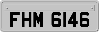 FHM6146