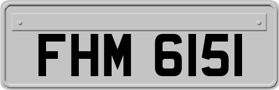 FHM6151