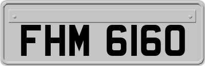 FHM6160