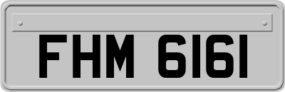 FHM6161