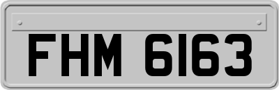 FHM6163
