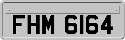FHM6164