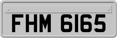 FHM6165