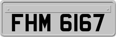 FHM6167
