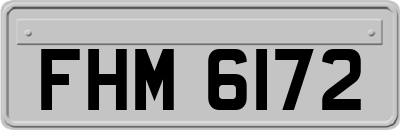 FHM6172