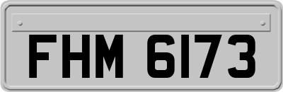 FHM6173