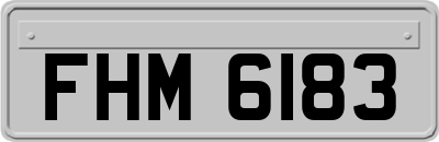 FHM6183