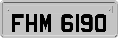 FHM6190