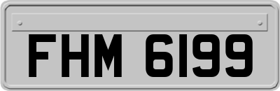 FHM6199