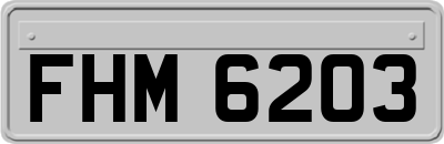 FHM6203