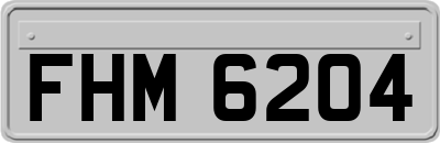 FHM6204