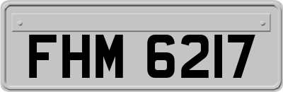 FHM6217