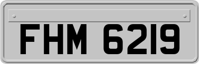 FHM6219