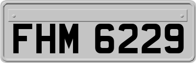 FHM6229