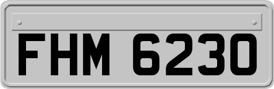 FHM6230
