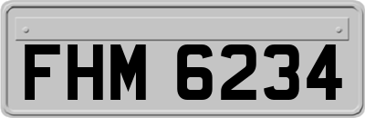 FHM6234