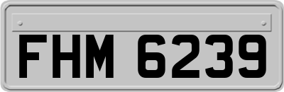FHM6239