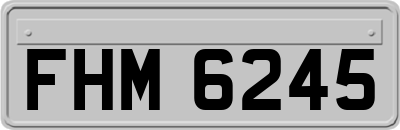 FHM6245