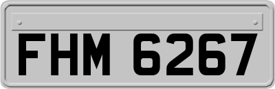 FHM6267