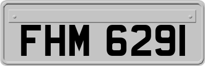 FHM6291