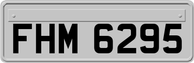FHM6295