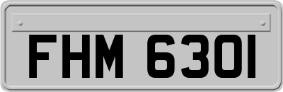 FHM6301