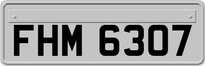 FHM6307