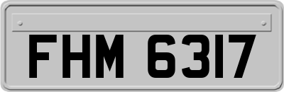 FHM6317
