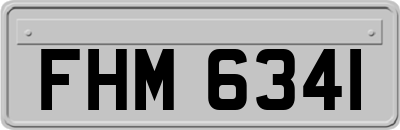 FHM6341