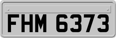 FHM6373