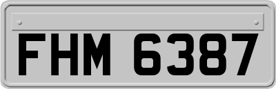 FHM6387