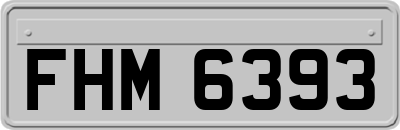 FHM6393