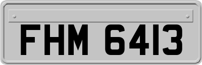FHM6413