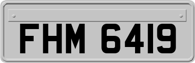 FHM6419