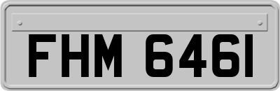 FHM6461