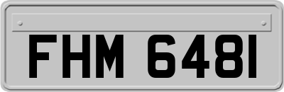 FHM6481